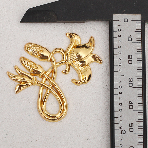 �������ͼ