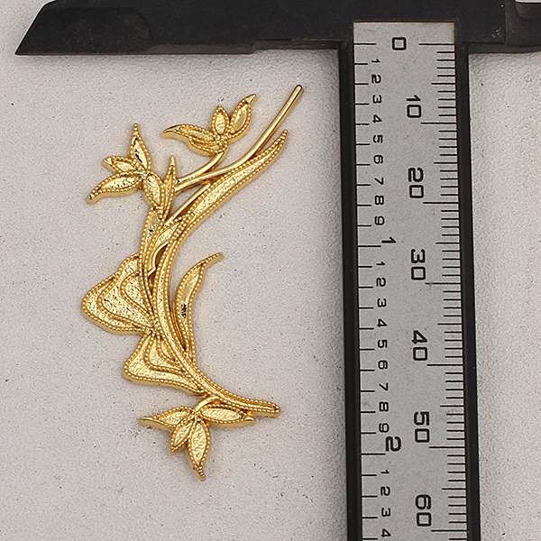 �������ͼ