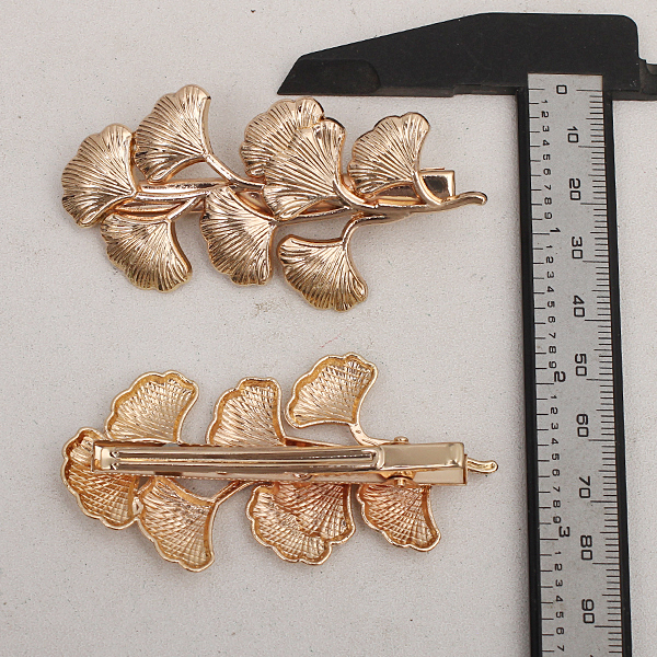 �������ͼ